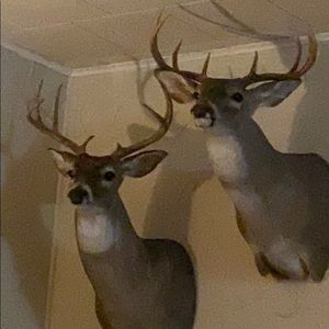 Meet your Posher, Terry